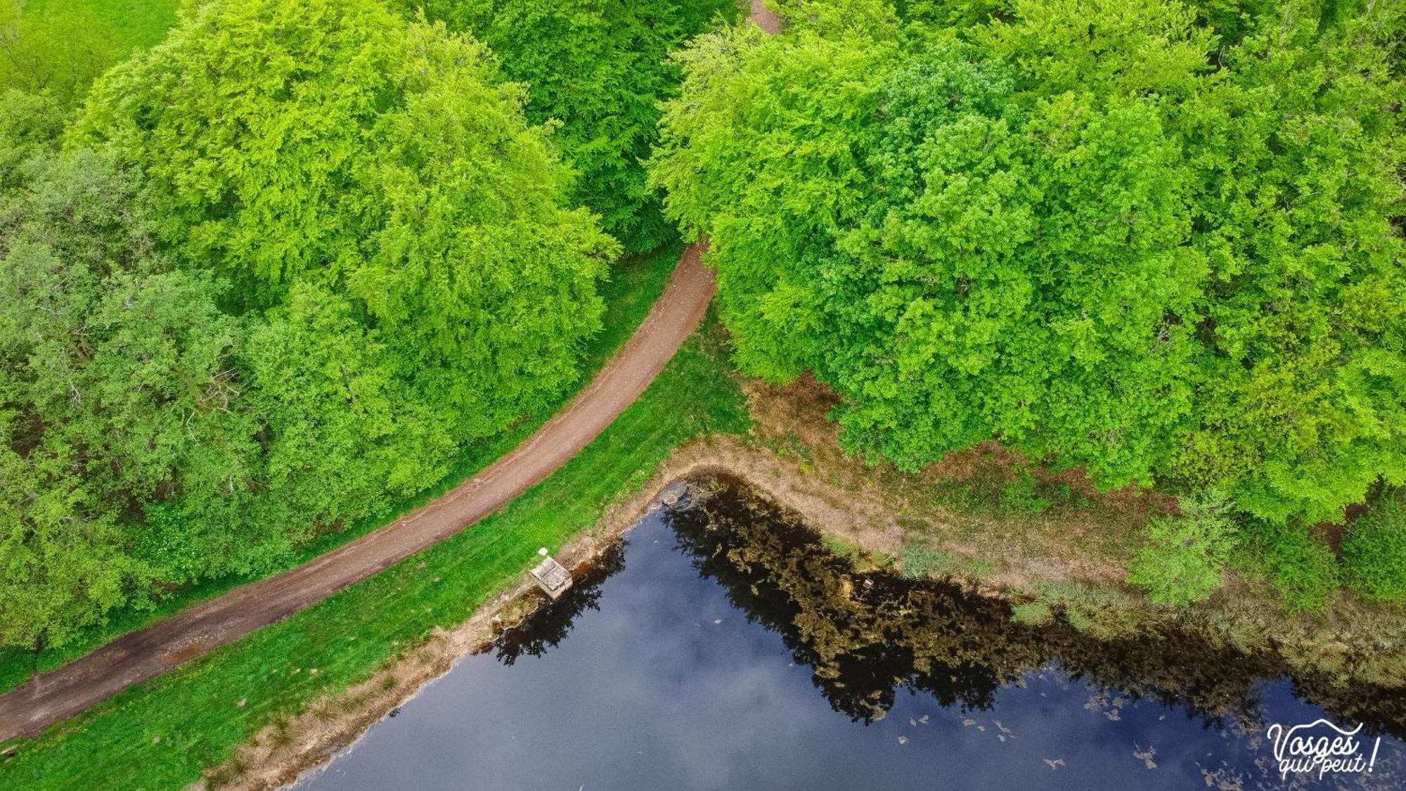 Villa Des Capucins Luxeuil-les-Bains Exteriör bild